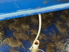 -阳澄湖大闸蟹·琼灵阁牌品牌连锁(吴中总店)