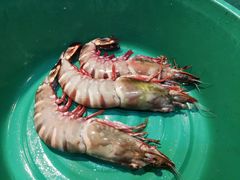 -真浪花园海鲜餐馆