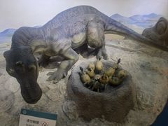 -国家自然博物馆