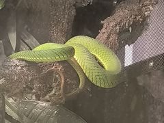 -昆明动物园