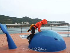 -东澳岛