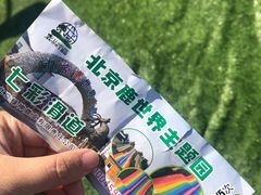 -北京鹿世界主题园