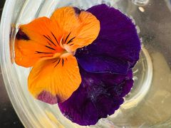 -唐河王记·南阳民间菜(国基路店)