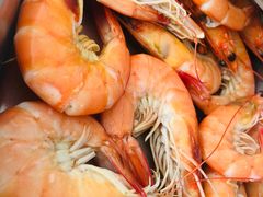 -渔民船说·北塘海鲜·天津菜·海肠捞饭(北塘古镇店)