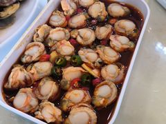 捞汁扇贝-北方饺子王·海肠捞饭·海鲜锅(山大店)