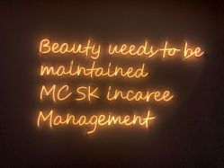 点击看大图 -MC皮肤管理中心