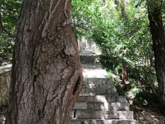 -云龙山