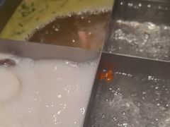 -枫蓝国际购物中心