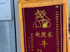 -瑞派天使宠物医院·神经外科·骨科·核磁(洛川中路店)