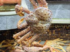 -阿拉斯加·海货(马王堆店)