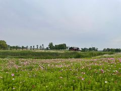 -苏州湾体育公园