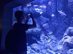 -成都浩海立方海洋公园