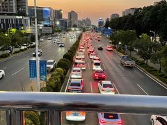 -宝安西湾红树林湿地公园