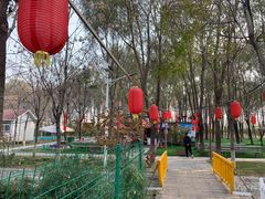 -草根堂农场