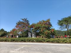 -广州市石门国家森林公园
