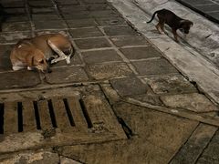 -Ministry of Crab(科伦坡店)