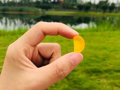 -白鹭湾湿地公园