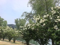 -漕湖湿地公园