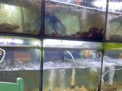 -海之鲜大排档(东山海鲜金銮湾店)