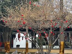 -南京市民俗博物馆(甘熙宅第)