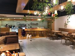 大堂-柴务处·柴犬主题狗咖