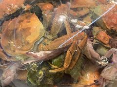 蒸汽海鲜-乔哥铭洋海鲜自助(皇城恒隆广场店)