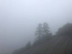 -华山风景名胜区-苍龙岭
