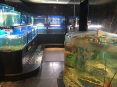 水产区-王家渡火锅店(亦庄店)