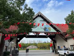 -上海海湾国家森林公园