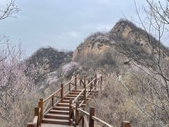 -大岭沟猕猴桃谷风景区