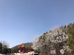 -十三陵水库
