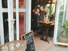 -小洲村