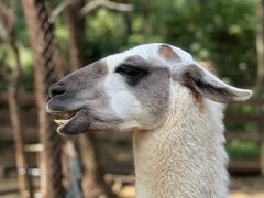 -沈阳森林动物园