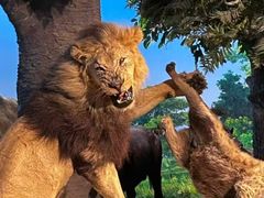 -国家自然博物馆