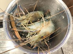 -曼格活海鲜·牛排自助(光明蓝鲸店)