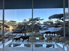 -罗红摄影艺术馆