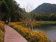 -广州市石门国家森林公园