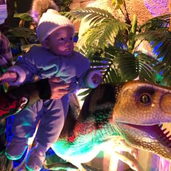 -恐龙探索乐园(磁器口店)