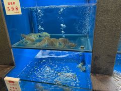 水产区-宁波状元楼酒店(和义路店)