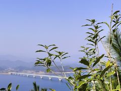 -千岛湖天屿景区