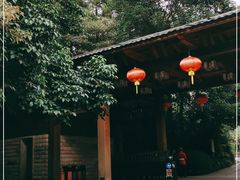 -雁南飞茶田景区