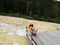 -黄龙山原始森林景区