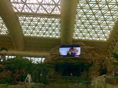 -杭州开元森泊度假乐园