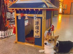 -神隐烧肉酒场(九街店)