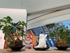 -长风拨筋养身(金虹桥店)