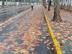 -建德花园海棠苑