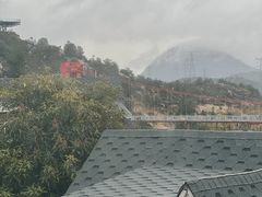 -清境桃源