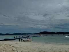 -珊瑚岛