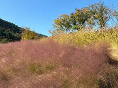 -龙洞风景区-藏龙涧