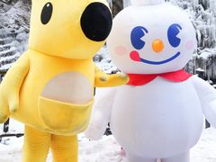 -少华山国家森林公园
